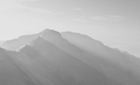 ここに画像が入ります。